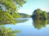 Landscapes of the Yonne - Marrault pond surrounded by trees