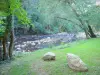 Landscapes of the Yonne - Cousin valley: trees along the river