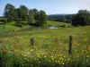 Landschappen van de Limousin - Wilde bloemen op de voorgrond, omheining, weide, vijver en bomen