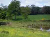 Landschappen van de Limousin - Wilde bloemen, vijver, weide en bomen, in Neder-Walk
