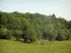 Landschappen van de Limousin - Weide en bos (bomen)