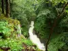 Langouette gorges - Gorges, Saine river and trees