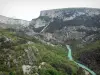 Lanscapes of Alpes-de-Haute-Provence - Verdon gores: Verdon river lined with trees and cliffs (rock faces); in the Verdon Regional Nature Park
