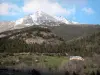 Lanscapes of Alpes-de-Haute-Provence - Ubaye valley: farm, prairies, trees and mountains 