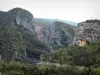 Lanscapes of Alpes-de-Haute-Provence - Verdon gorges: gorges road, trees and cliffs (rock faces); in the Verdon Regional Nature Park
