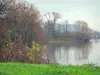 Lanscapes of Normandy - Vegetation, the River Seine and trees, in the Seine valley