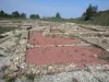Larina archaeological site - Tourism, holidays & weekends guide in the Isère