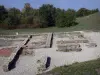 Larina archaeological site - Remains of a vast rural estate dating back to late Antiquity and the early Middle Ages, in the town of Hières-sur-Amby