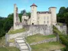 Laroquebrou castle