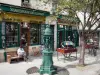 Latin district - Bookstore storefront and Wallace fountain in the Bûcherie street