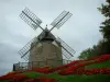 Lautrec - Césped, flores cama y molino de viento