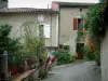 Lautrec - Terraza con plantas, flores y casas de arbustos, flores y callejones de la villa medieval