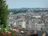 Laval - View over the rooftops of the town, blooming roses in the foreground