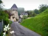 Lavardin - Flowers in foreground, street, Saint-Genest church of Romanesque style, and houses of the village