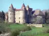 Lespinasse castle - Medieval fortified castle surrounded by greenery, in the town of Saint-Beauzire