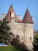 Lespinasse castle - Towers of the medieval fortress