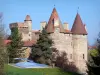 Lespinasse castle - Medieval fortress surrounded by trees