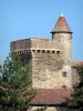 Lespinasse castle - Keep with battlements