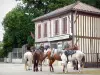 Lévignacq - Caballos de senderismo con una parada en una casa de entramado de madera de Lévignacq pueblo