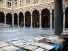 Lille - Antigua Bolsa de Valores: libros se destacan en primer plano, las casas (arquitectura flamenca) y el claustro (patio)