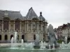 Lille - Palacio de Bellas Artes, fuentes y casas