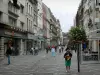Lille - Calle comercial con sus tiendas y casas