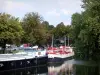Lille - Canal Deûle, barcazas y los árboles