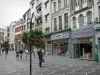 Lille - Calle comercial con sus colgantes de flores, tiendas y casas