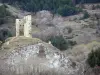 Llo - Tour del Vacaro, torre de vigilancia, y su campo de los alrededores, en el corazón de la Cerdanya, en el Parque Natural Regional del Pirineo catalán
