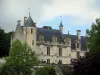 Loches - La Casa Real y los árboles