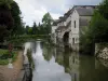 Loches - Río (INDRE), árboles y casas a lo largo de las aguas