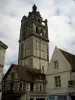 Loches - Tour de San Antonio