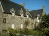 Locronan - Stone residence decorated with a garden with shrubs and plants
