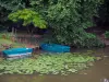 Loir valley - Blue boats moored to the bank, the Loir River with water lilies and trees along the water