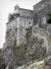 Lourdes - Castillo alberga el Museo de los Pirineos