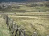 Lozèrian Aubrac - Landscape of pastures and stones, fence in the foreground