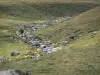 Lozèrian Aubrac - Stream strewn with stones and surrounded by pastures