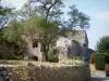 Lussan - Muro de piedra y la casa, los árboles