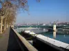 Lyon - Dock con los árboles, las barcazas amarradas, y la Universidad Puente Ródano (río)
