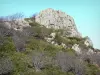 Maciço de Tanargue - Parque Natural Regional do Monts d'Ardèche - montanha Ardèche: rocha Coucoulude