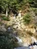 Maciço de Tanargue - Parque Natural Regional do Monts d'Ardèche - montanha Ardèche: pequeno rio com árvores
