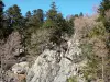 Maciço de Tanargue - Parque Natural Regional do Mont d'Ardèche - Ardèche: rochas rodeadas de árvores