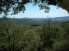 Macizo de Maures - Los árboles en primer plano con vistas a las colinas cubiertas de bosques