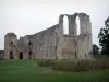 Maillezais abbey - Remains of the Saint-Pierre abbey: ruins of the abbey church