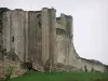 Maillezais abbey - Remains of the Saint-Pierre abbey: ruins of the abbey church