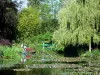 Maison et jardins de Claude Monet - Jardin de Monet, à Giverny : Jardin d'Eau : étang des nymphéas (bassin aux nymphéas) parsemé de nénuphars, roseaux, végétation, pont japonais et arbres