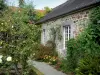 Manoir de Saussey - Jardin du manoir : poirier (arbre fruitier), rosier (roses) et plantes grimpantes sur la façade