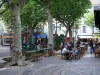 Manosque - Place de l'Hotel de Ville: terrazas de los cafés, los plátanos (árboles) y casas en el casco antiguo