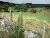 Margeride - Margeride landscape: pastures dotted with trees, stones and fence in the foreground