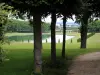 Marly-le-Roi estate - View of the park's large basin